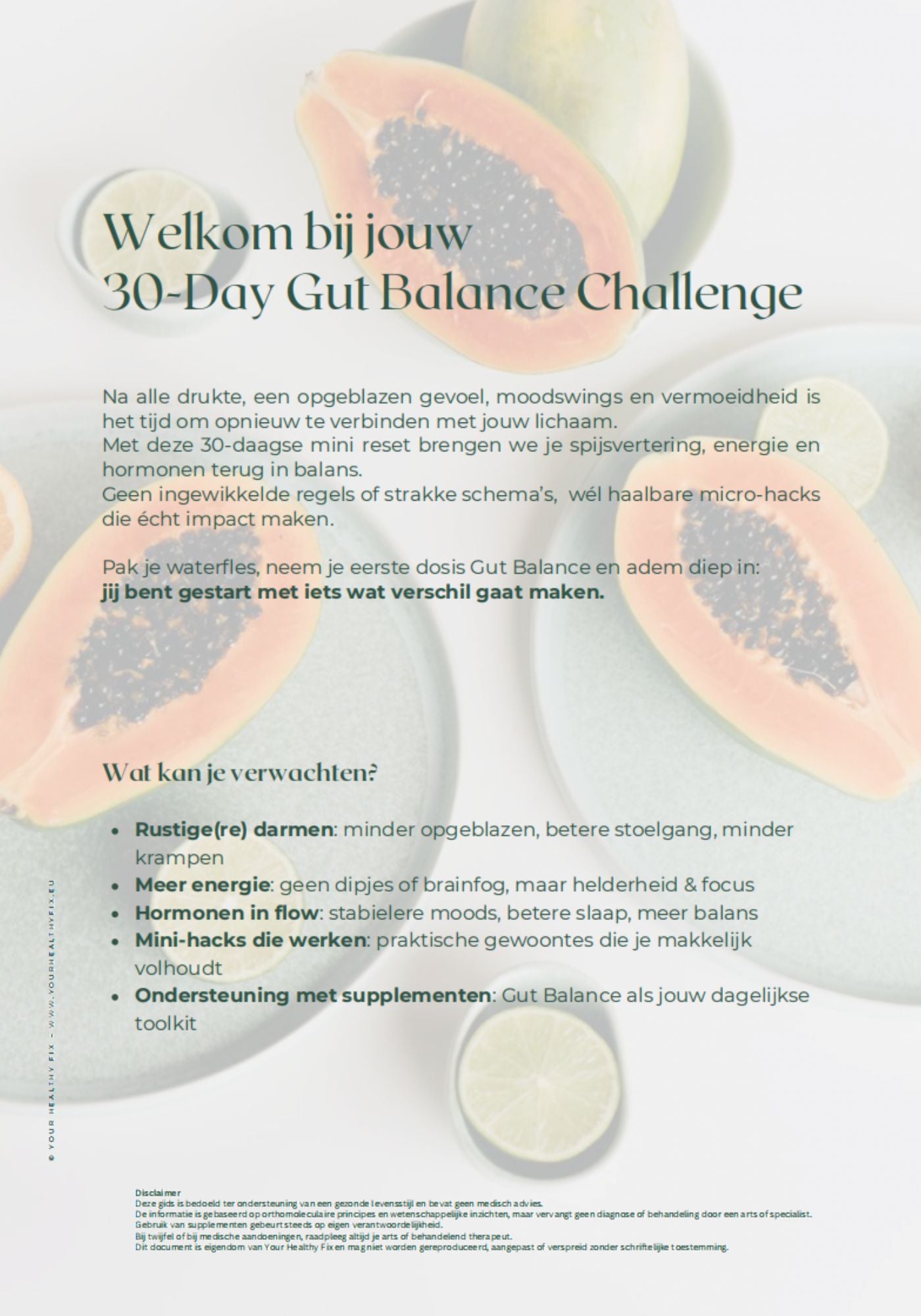 Ebook: YHF Gut Balance Guide